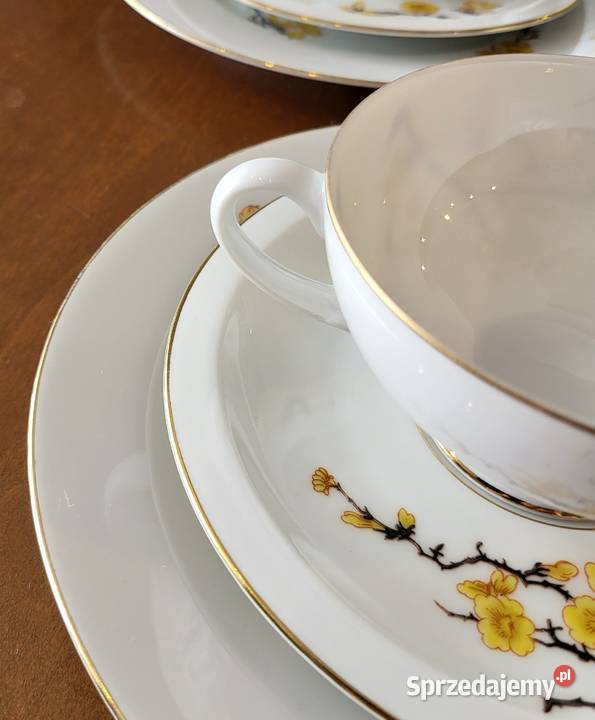 Tettau Bawaria wiekowy serwis do herbaty Szczecin