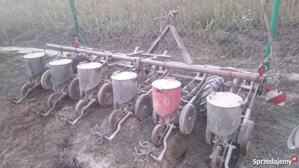 siewnik do buraków gama 6 rzędów raty Probostwo Górne