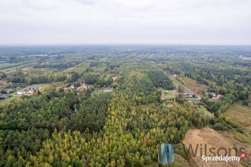 Ogłoszenie grunt Nowa Bukówka 133548m2 szambo