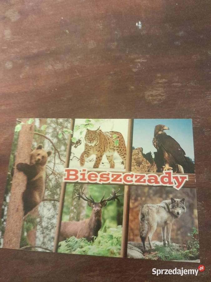 Pocztówki Bieszczady Darłowo