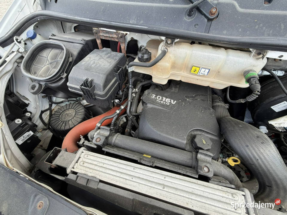 Iveco Daily 65C15 V H Chłodnia CARRIER Drzwi biały Widełki sprzedam