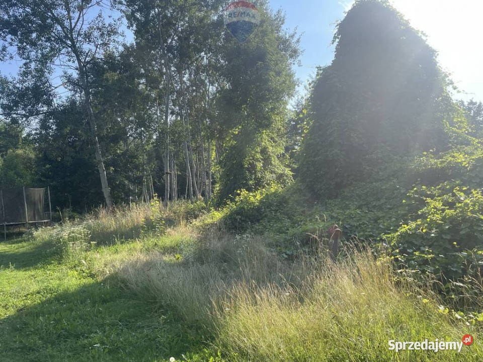 Działka budowlana Krzeczów media droga Sprzedaż