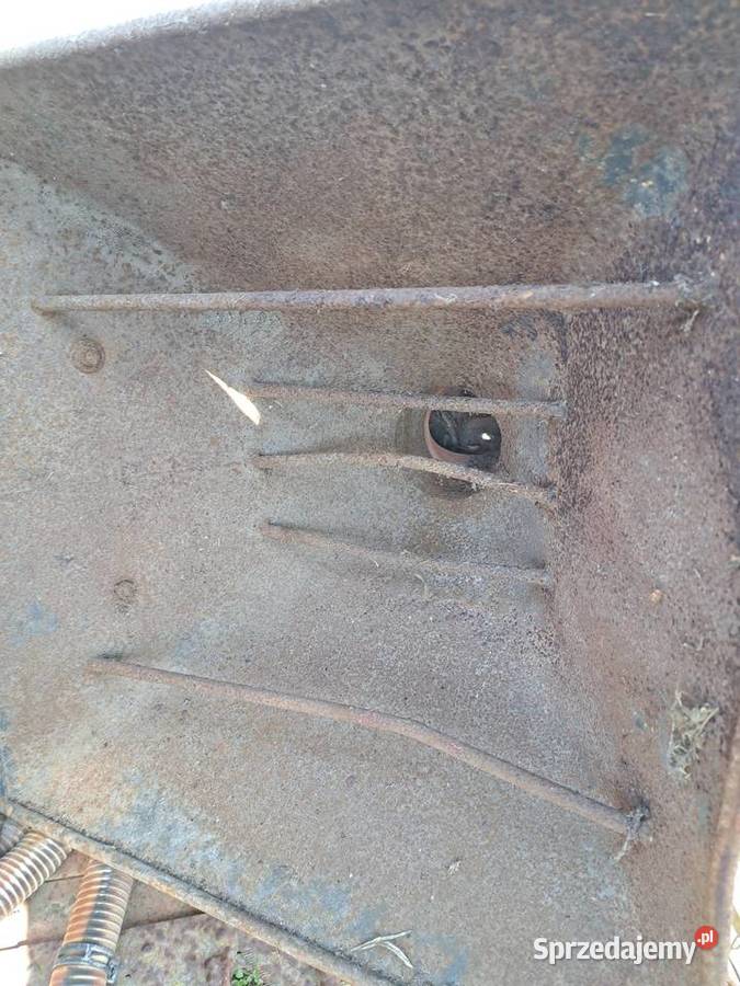 Żmijka do nawozu siewnik do kukurydzy silnik wielkopolskie Kłodawa