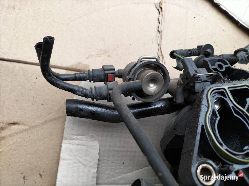 FIESTA MK5 MK6 FUSION MK1 13 14 KOLEKTOR SSĄCY Kamień-Kolonia sprzedam