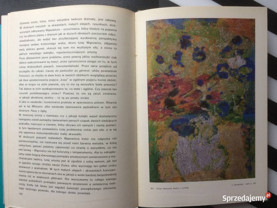 3545 Kształt Piękna Szczecin sprzedam