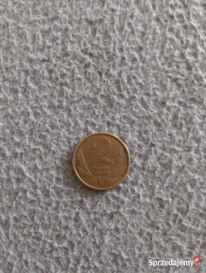 2zlote Chełm sprzedam