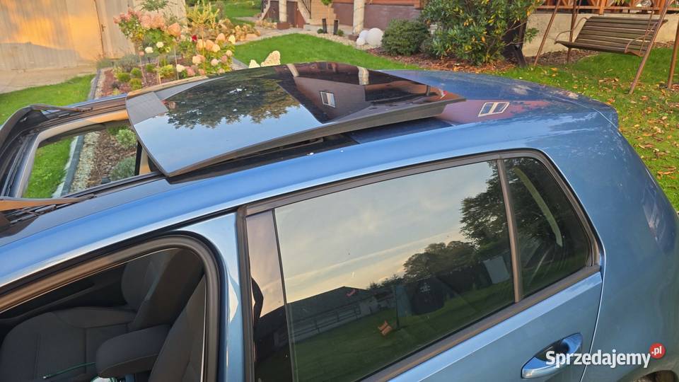 Volkswagen Golf 7 16 TDI Golf Sędziszów Małopolski