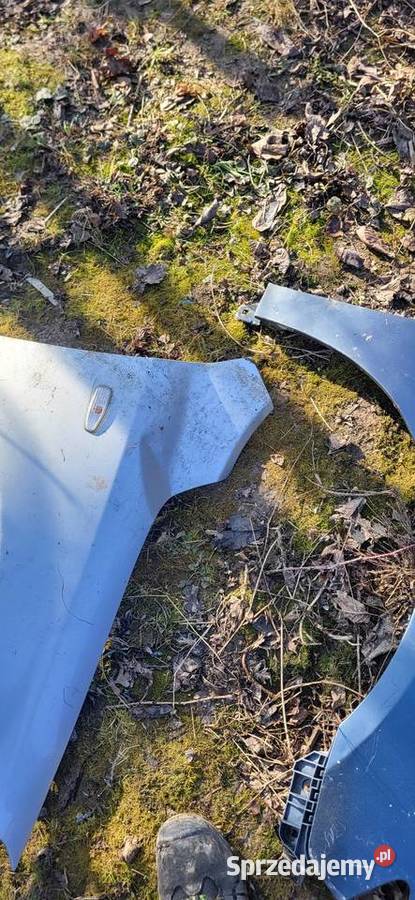 Błotnik Lewy Prawy KIA CEED 1 Srebrny Błotniki Żabno