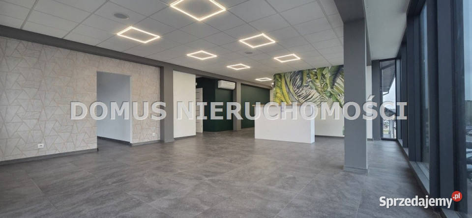 Lokal 123 metry Brzeziny od ulicy