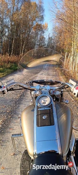 Suzuki VL 1500 podkarpackie