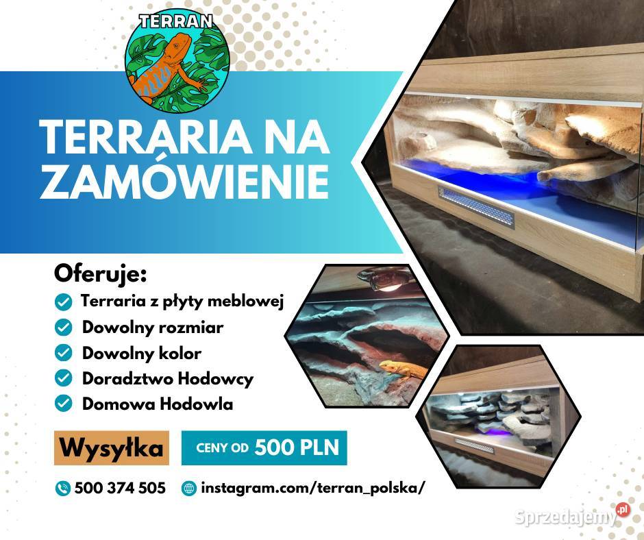 Terrarium 120 x 60 x 60 Agama Gekon Waran Anolis Akcesoria dla zwierząt Błonie sprzedam