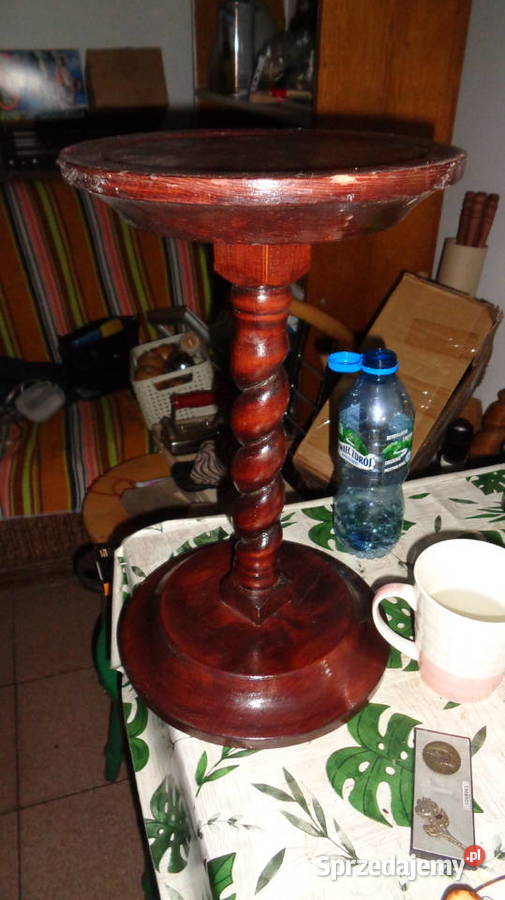 Kwietnik dolnośląskie Lubin