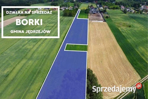 Teren inwestycyjny 9538 m2 z WZ Borki Jędrzejów świętokrzyskie