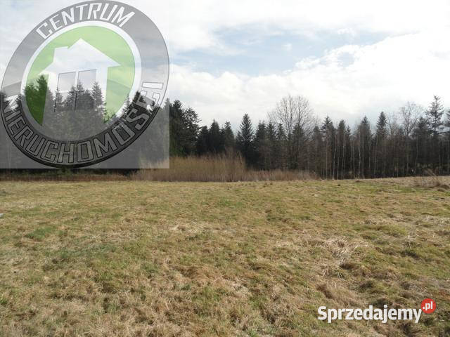 Grunt 3032 metry Paszyn 88zł/m2