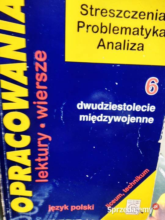 Dwudziestolecie międzywojenne 6 literatura Warszawa