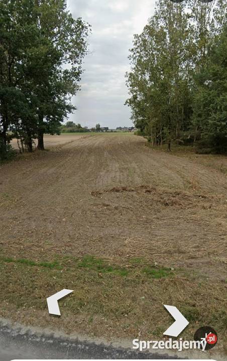 Działka z wydanymi warunkami zabudowy w cichej Złoczew sprzedam