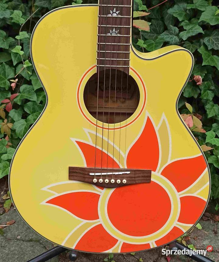 Gitara akustyczna Richwood RG15CYS łódzkie Tuszyn