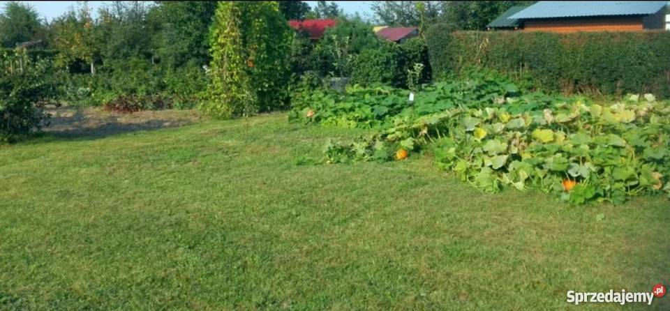 ogródek działkowy Stary Sącz małopolskie