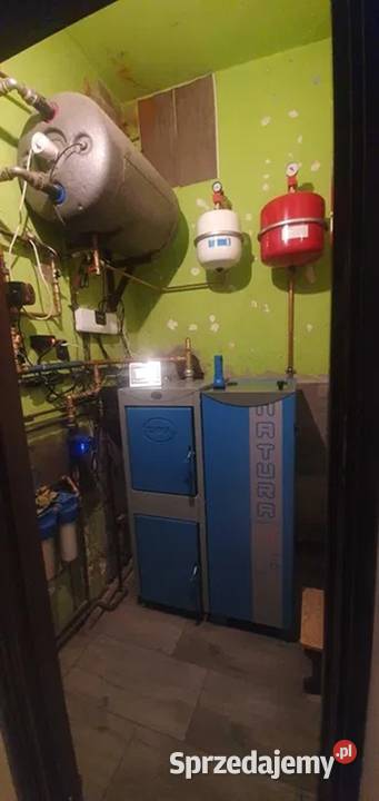 Stalmark Sas Kostrzewa Vaillant Termet piece i Milicz