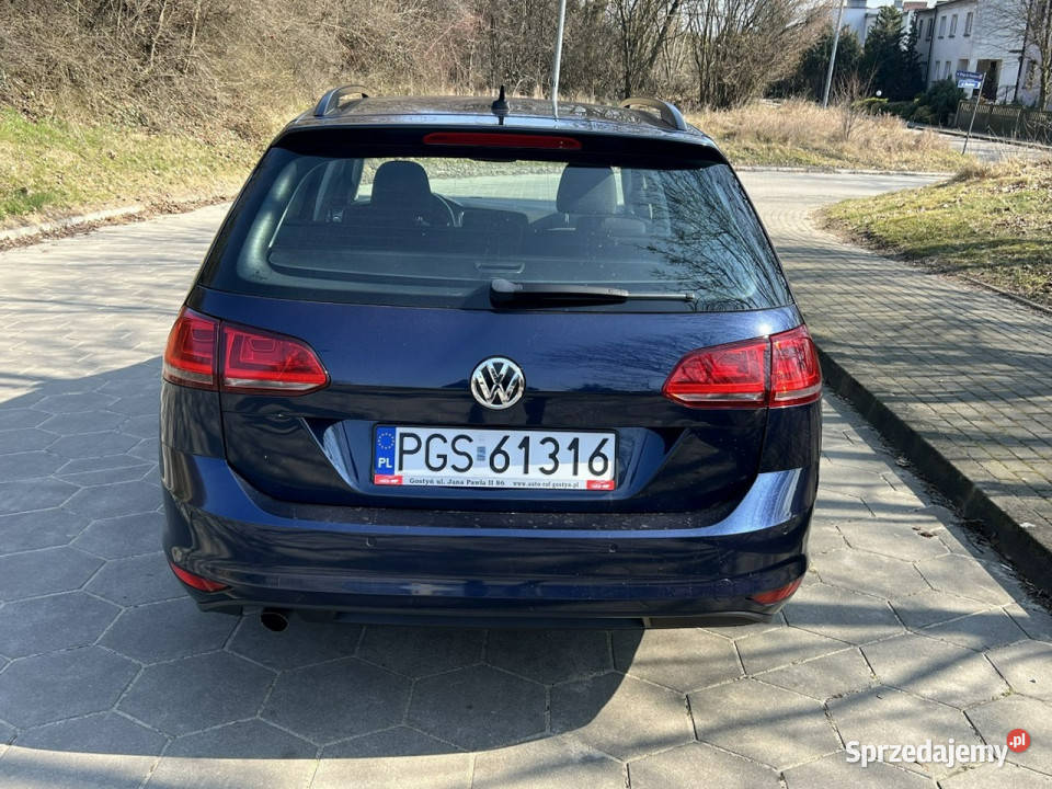 Volkswagen Golf Volkswagen Golf Klimatronic 16 Rok produkcji 2016 Samochody osobowe Gostyń sprzedam