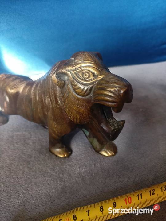 mosiezny tygrys Łódź