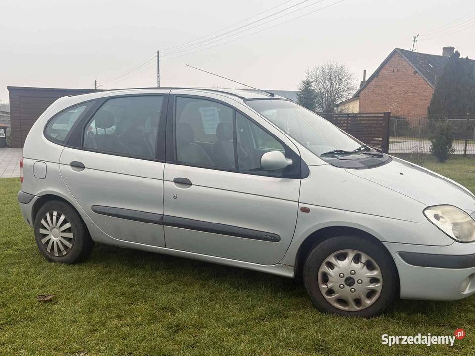 Renault Scenic Wielgomłyny