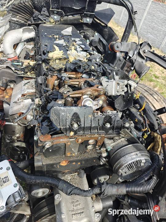 Man TGS 26330 2025r Chodecz sprzedam