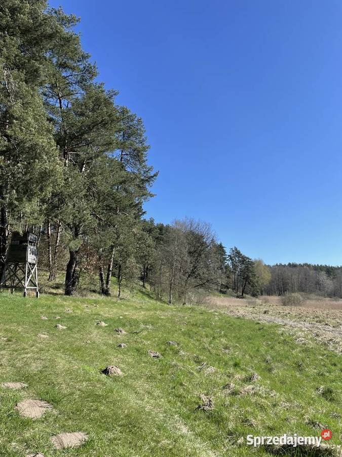 Działka rekreacyjna Bożepole Królewskie 4600 m2 prąd