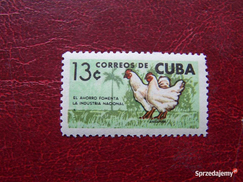 Kuba 1964 MNH Ni 898 Fauna Ptaki Kury Filatelistyka Tychy