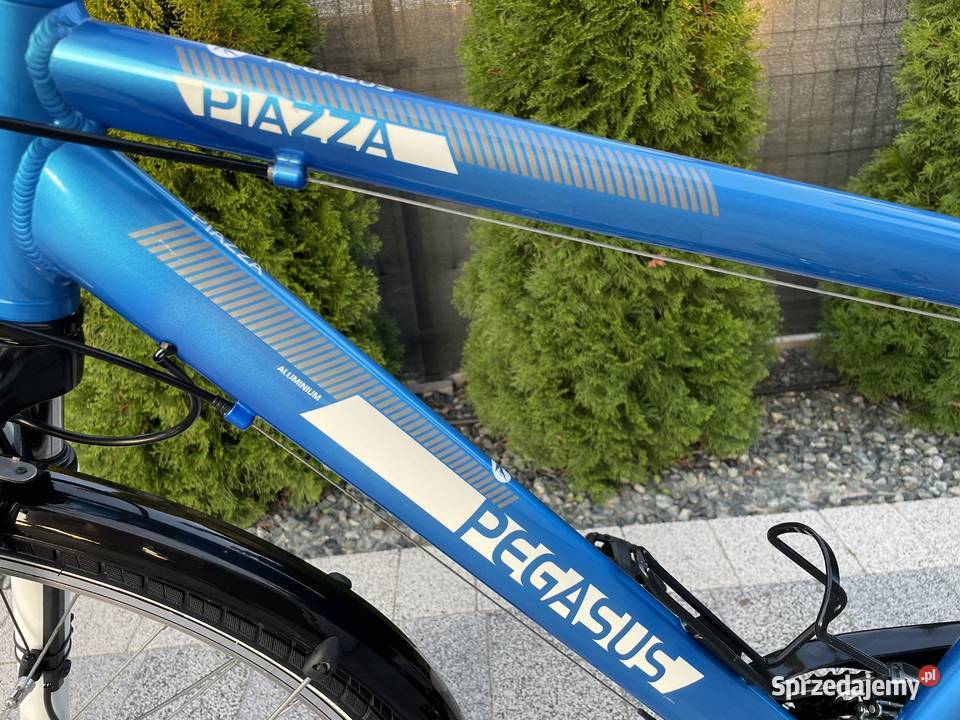 Pegasus Piazza 28 Rower Męski Inowrocław