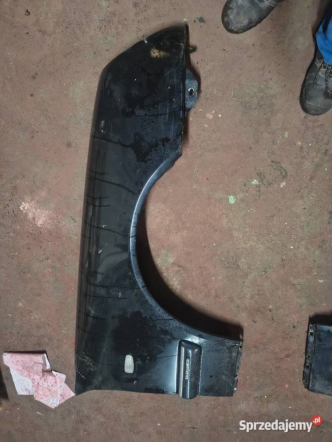 Błotniki w 210 Paniówki