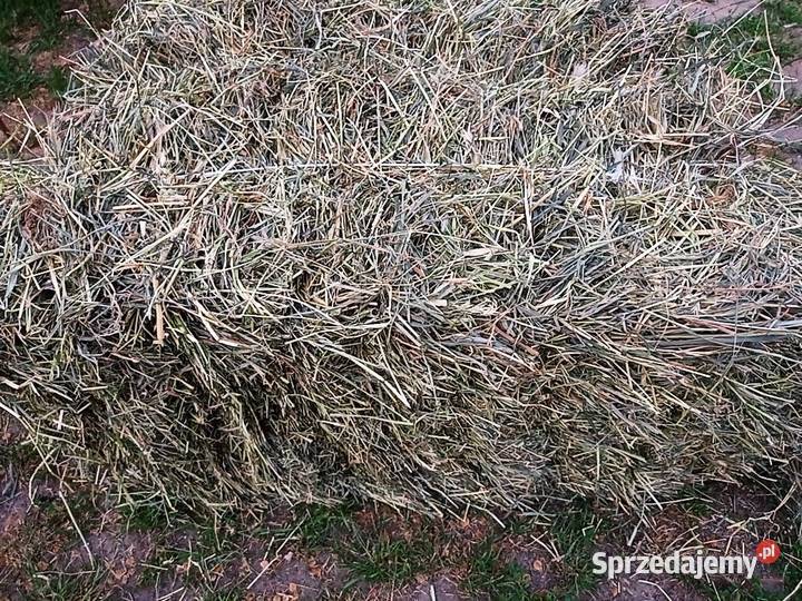 Sprzedam siano w kostkach z 2026 r Pobiedziska