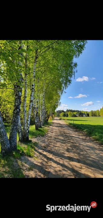 Działka na mazurach wieś Kolonia gmina Świętajno