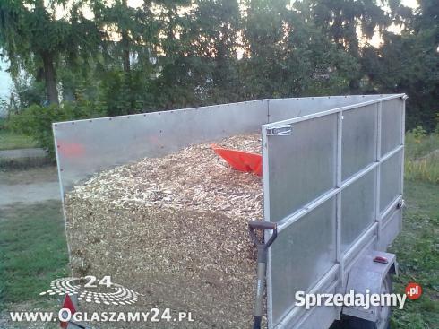 zrębki kujawskopomorskie Pozostałe Golub-Dobrzyń