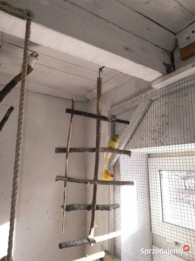 Faliste Siedleczko sprzedam