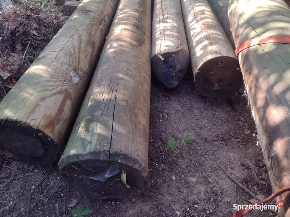 Belki drewniane impregnowane slupy Nowy Sącz