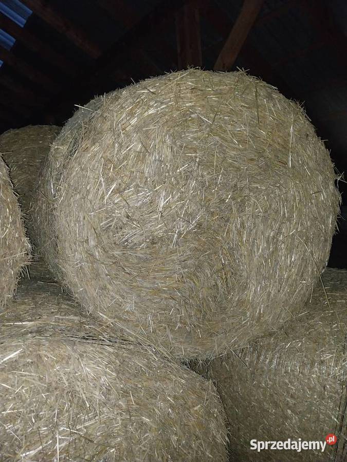 Sprzedam słomę przenną Waśniów