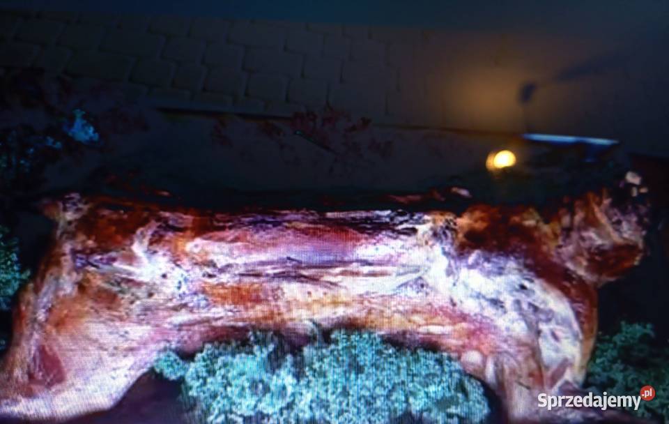 Pieczona jagnięcina Owce sprzedam