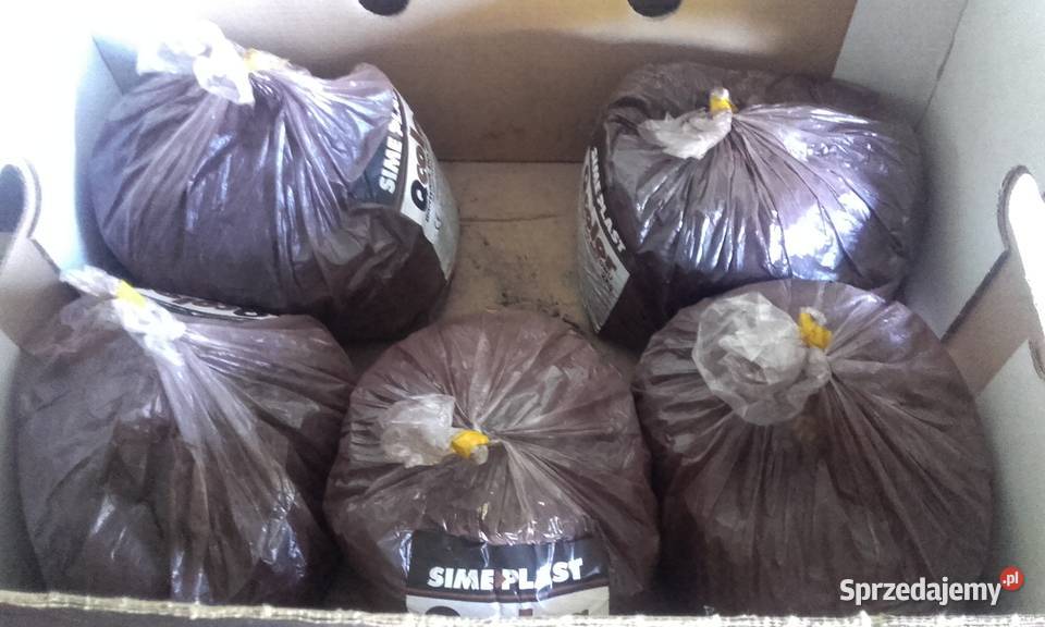 Barwnik brązowy do betonu 10 Nowy Sącz