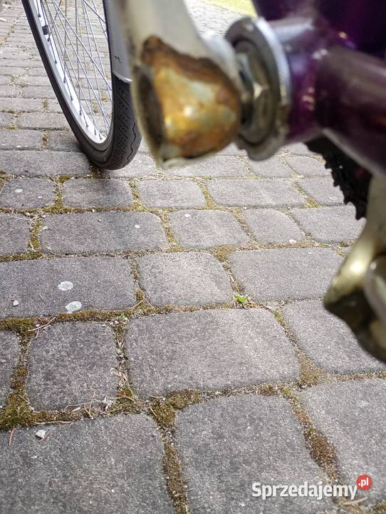 rower 26 oldschool team pro stan Ostrów Wielkopolski