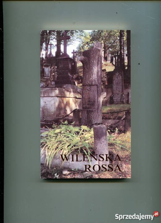 Wileńska Rossa zachodniopomorskie Szczecin