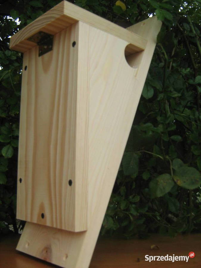 Budka pełzacz Sławno