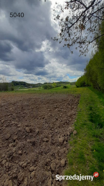 Grunty z potencjałem inwestycyjnym Rzeszów os sprzedam