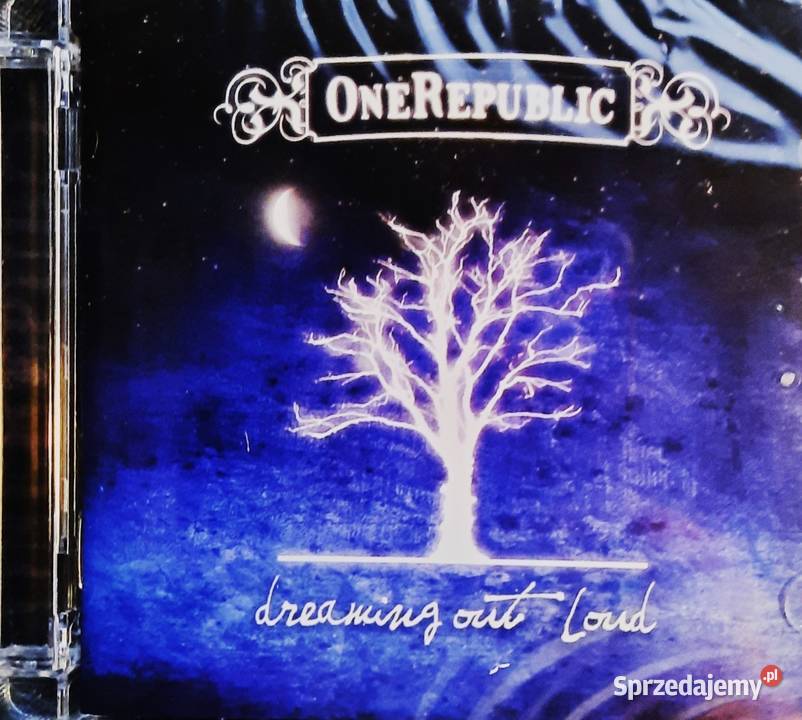 Album CD FOO FIGHTERS Album One by One Siedlce