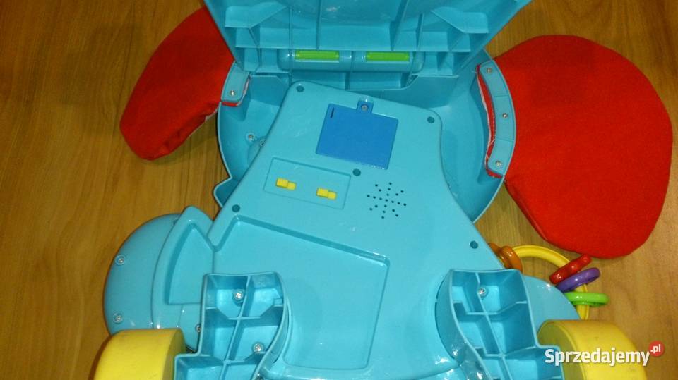 Chodzik Pchacz ZebraInteraktywny Zielona Góra