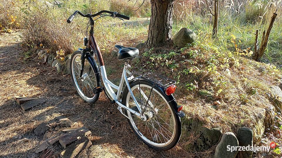 Alu Rower Miejski Damski Prophete City 600 Damka Wołów