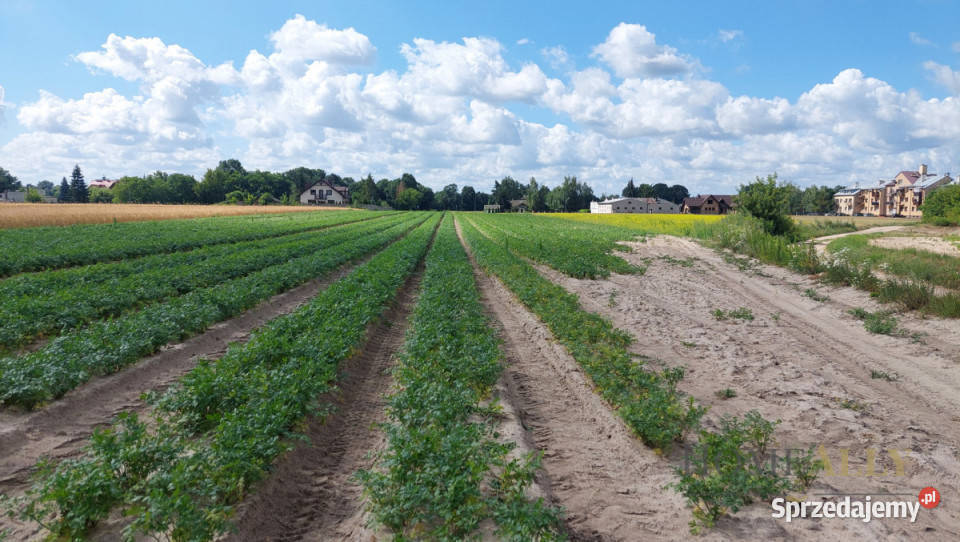 Działka 9113m2 Zakroczym 35m