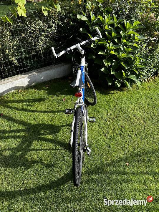 Rower sportowy Velo de Ville