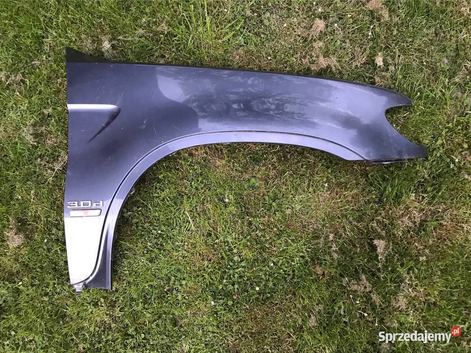 Blotnik prawy BMW X5 e53 osobowe Kozy