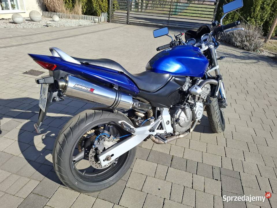 Honda hornet